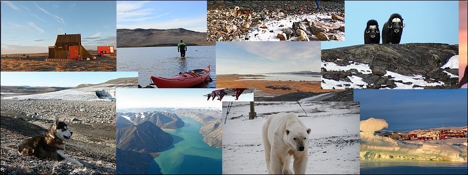 slide6 tillad javascript