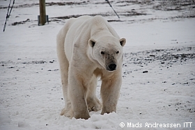 Thumbnail of DSC_8815.jpg