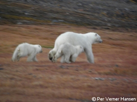 Thumbnail of Mor med 2 unger 28 aug.jpg