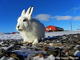 Thumbnail of P4160241.jpg