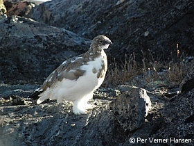 Thumbnail of P8237151.jpg