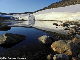 Thumbnail of P9034180-2.jpg