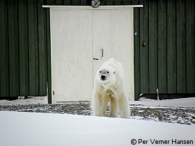 Thumbnail of P9177453.jpg