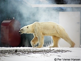 Thumbnail of P9177456.jpg