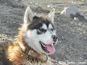 Thumbnail of P9181771.jpg