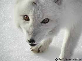 Thumbnail of P9251807.jpg