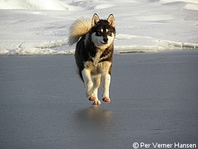 Thumbnail of PA027333.jpg