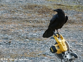 Thumbnail of foto 095.jpg