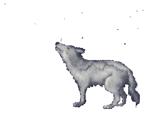 wolf