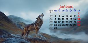 Lav kalender på billede