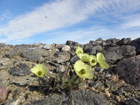 Thumbnail of cm5_3.jpg